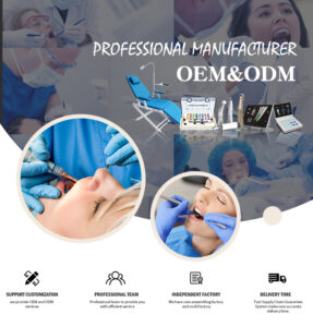 dental equipment self power e generator high speed dentist handpiece 2 hole 4 hole led dental handpiece