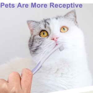 soft bristles dental tooth scaler toothbrush easy teeth cleaning brushes dogs cats toothbrushes