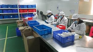 high standard 510k approved addition silicone material pvs dental putty impression kit for teeth mold