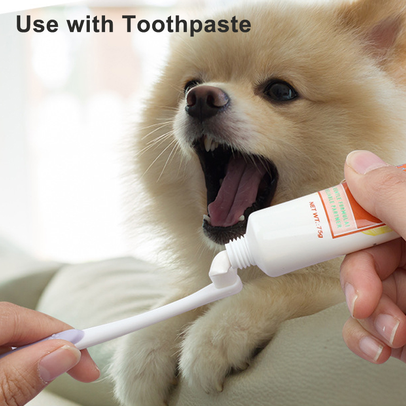 Specialized Care for Veterinary Dentistry: An Introduction to Soft-Bristle Pet Toothbrushes soft bristles dental tooth scaler toothbrush easy teeth cleaning brushes dogs cats toothbrushes