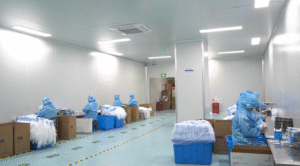 dental instrument disposable dental exam mouth mirrors oral plastic colored dental mouth mirror oem wholesale